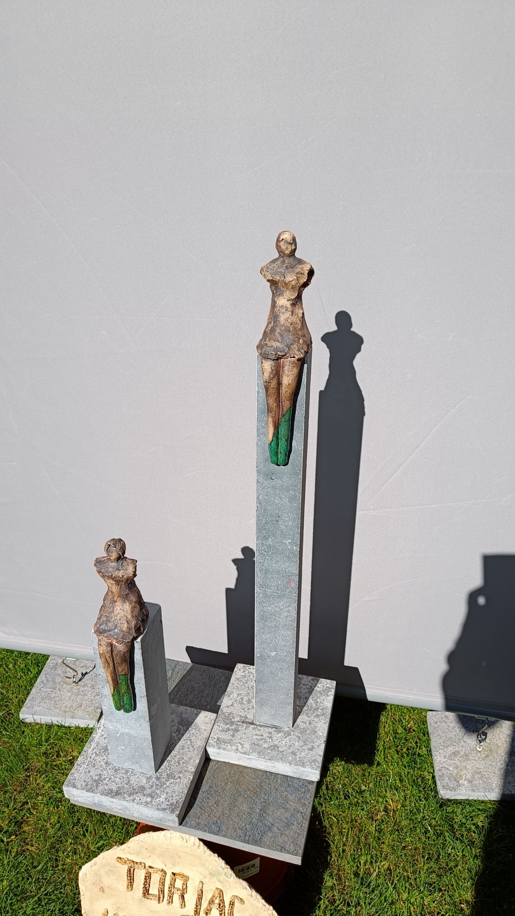 tortelboom